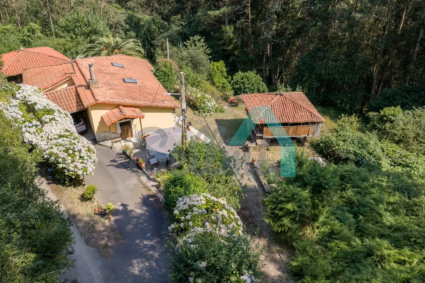 Casa o chalet en venta en Pravia