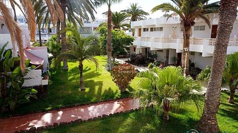 Foto 2 de Estudi de lloguer a Jose Antonio Tavio, Costa del Silencio, Santa Cruz de Tenerife