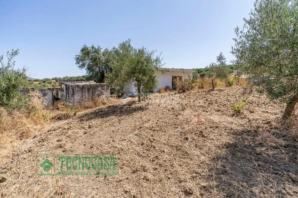 Land for sale in Tolox