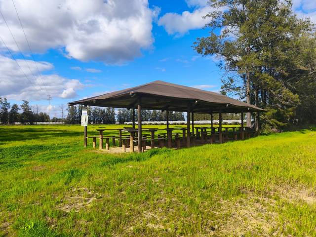Terreno en Venta en Almonte ciudad