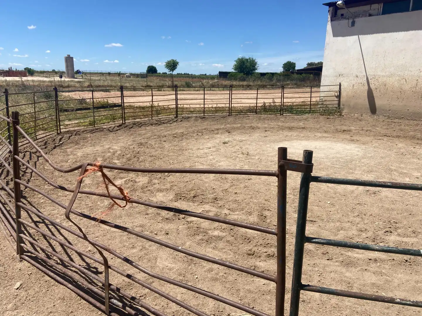 Terreny residencial en venda a Camino Camino de Torralba de Calatrava, imagen 17