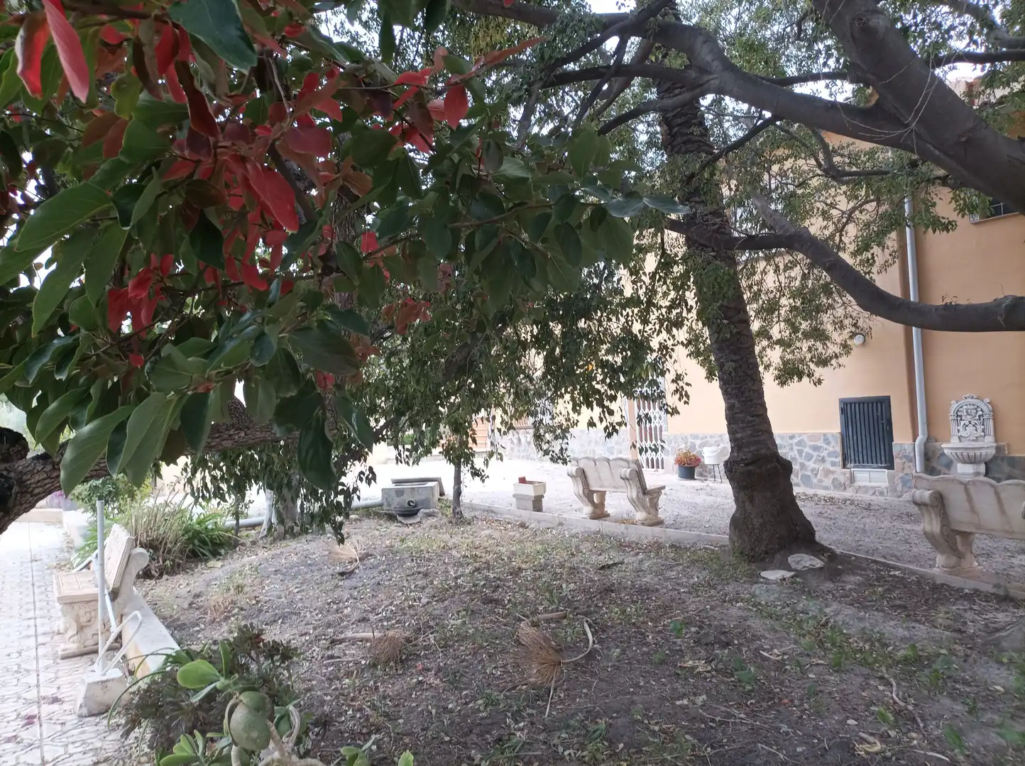 Xalet amb terrassa en venda a Diseminado Sector 2 223, imagen 15