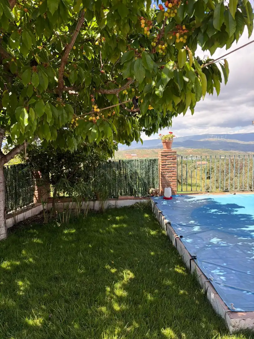 Piscina de Casa o xalet en venda en Nigüelas amb Jardí privat i Piscina comunitària