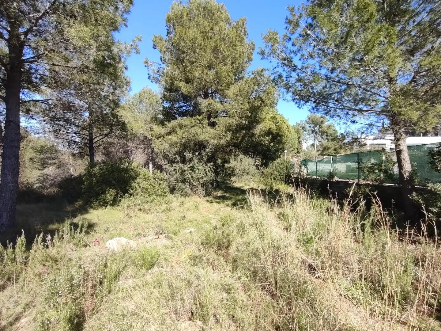 Terreno en venta en Alfara de la Baronia