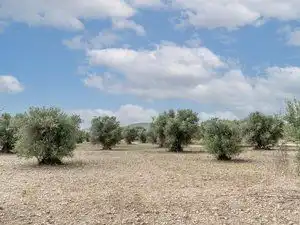 Terrenys i solars en venda a Restón I - Restón II, imagen 7