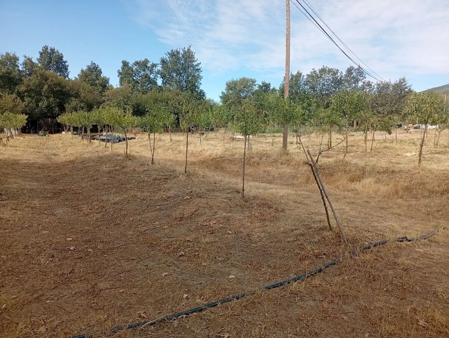 Terrain rustique à vendre à Villanueva de la Vera, imagen 39