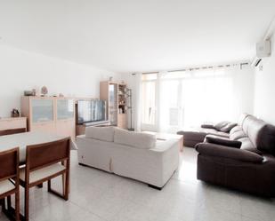 Living room of Flat for sale in Vilalba Sasserra  with Terrace and Balcony