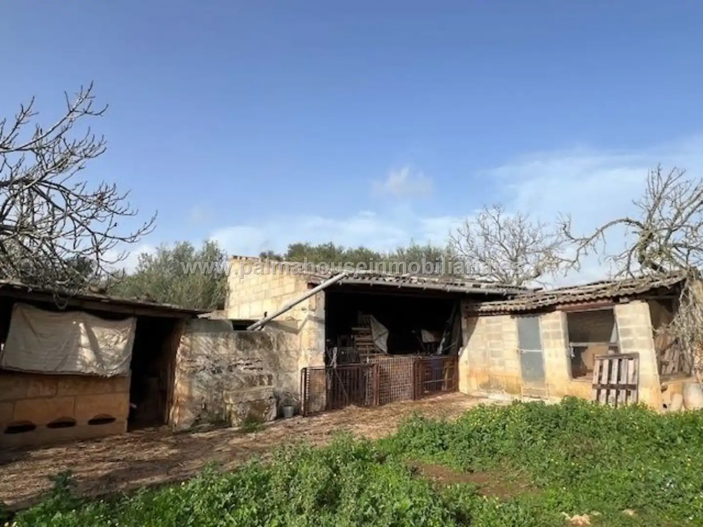 Terrenys i solars en venda a Maria de la Salut, imagen 6