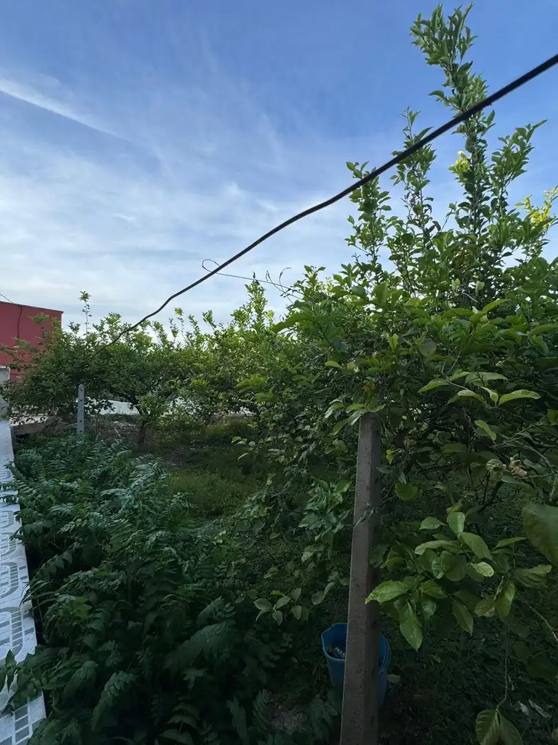 Finca rústica en venda en Orihuela amb Terrassa