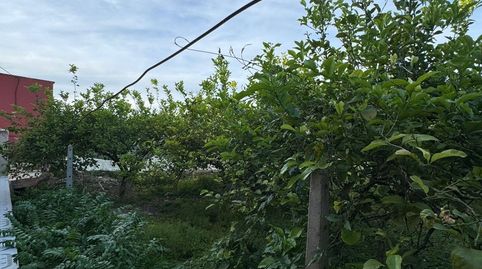 Foto 4 de Finca rústica en venta en N/a, -1, Desamparados - Hurchillo - Torremendo, Orihuela