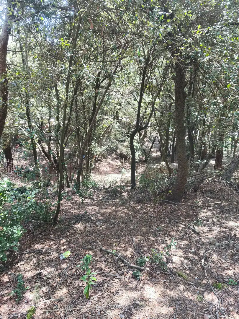 Terrain résidentiel à vendre à Carrer de la Font del Querol 19, imagen 19