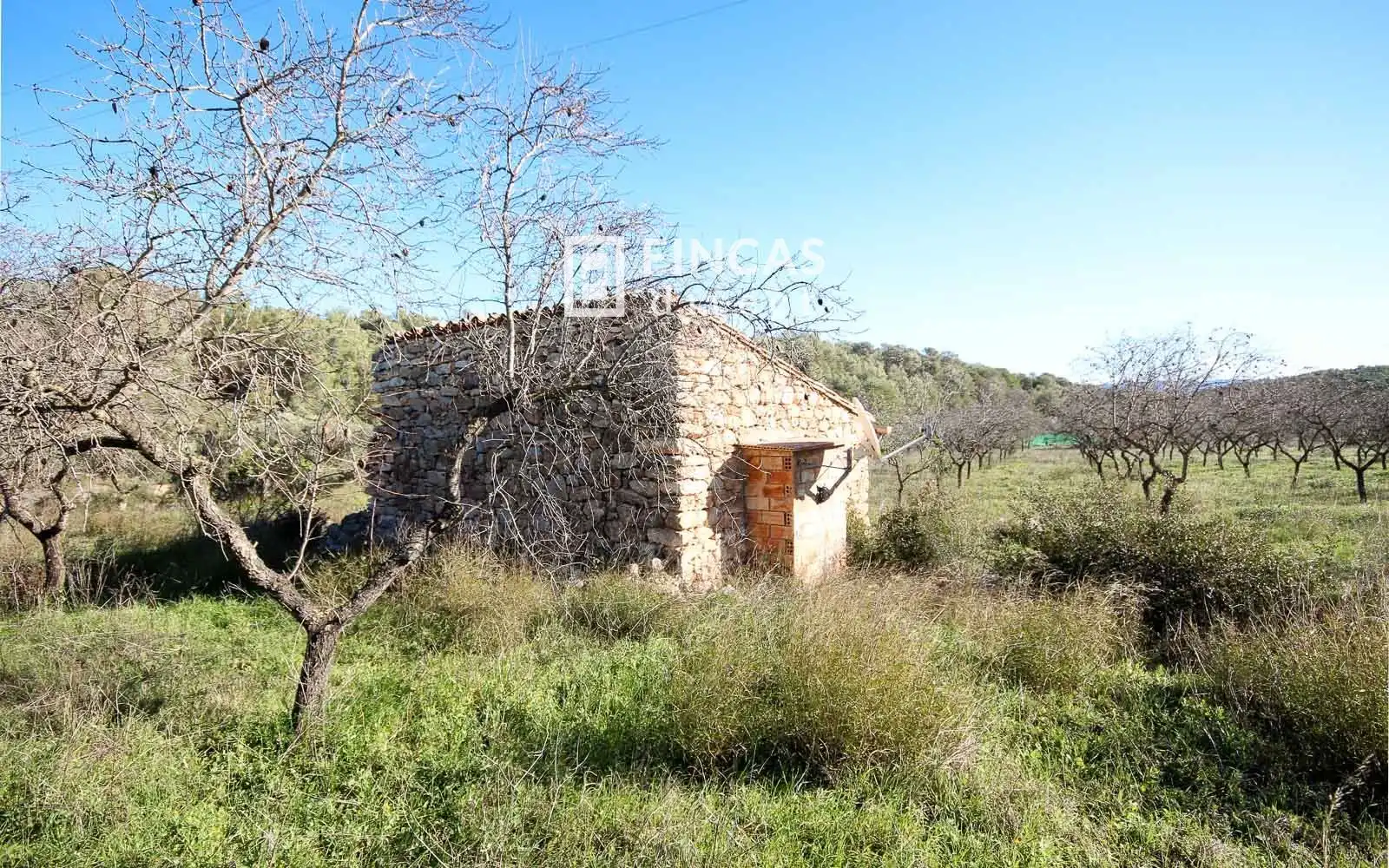 Finca rústica en venta en Miravet