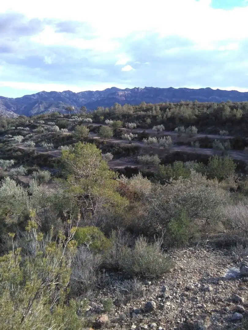Country homes for sale in El Pinell de Brai