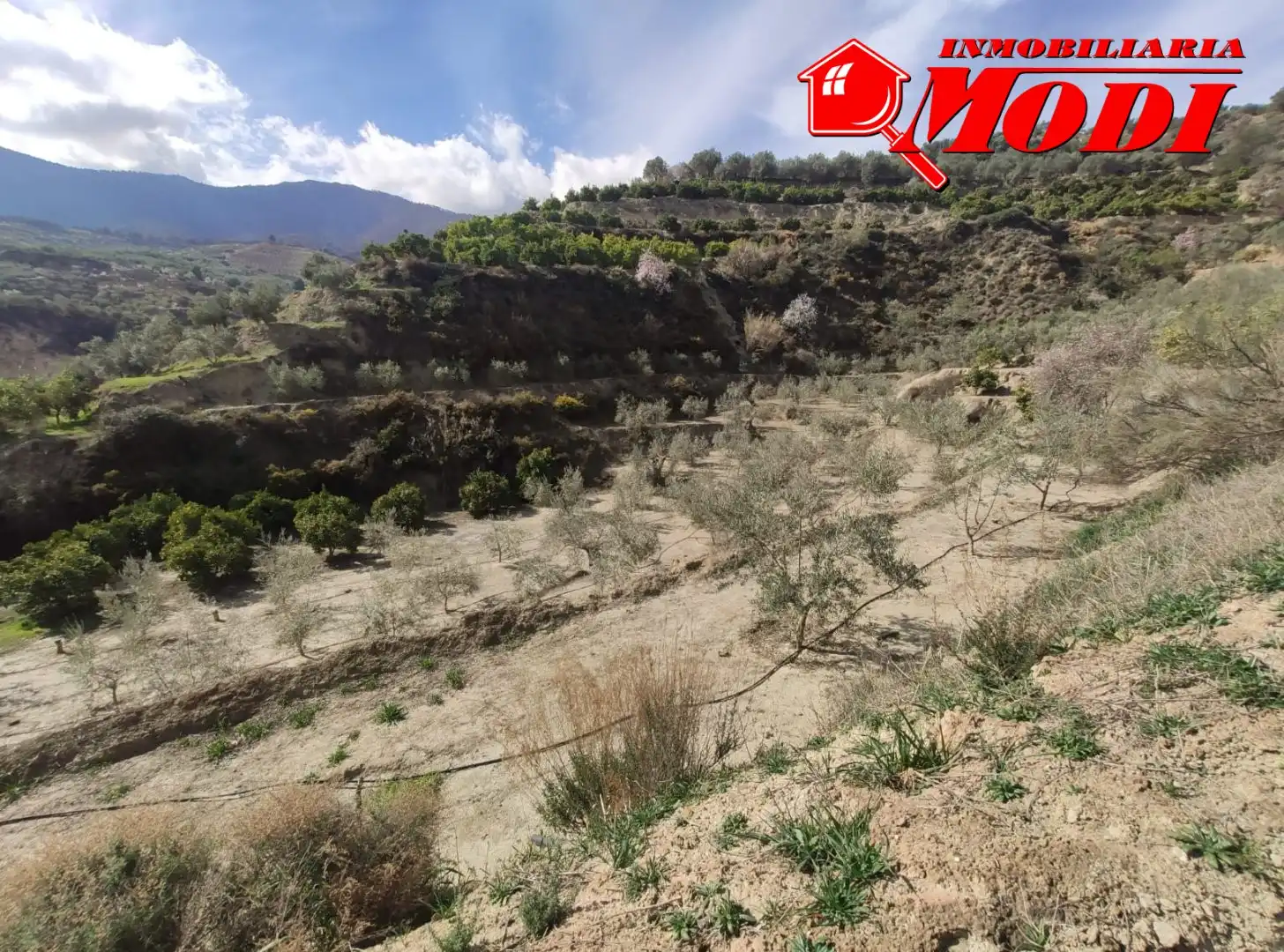 Terreni e lotti in vendita a El Valle, imagen 7