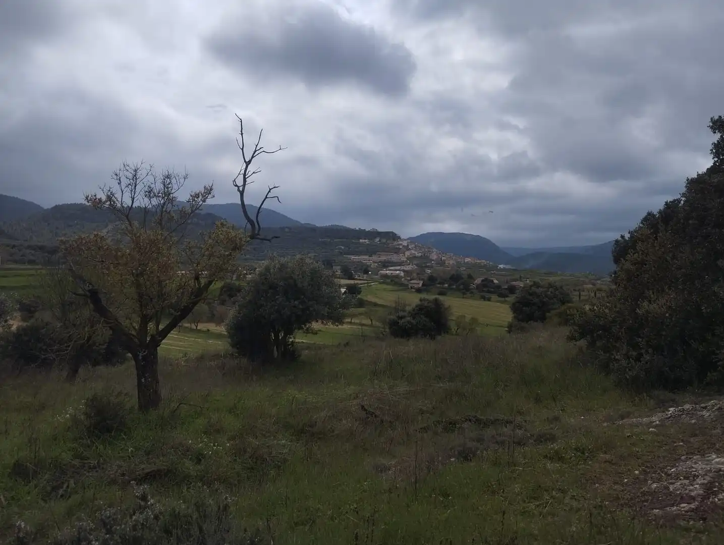 Terreni e lotti in vendita a Peñarroya de Tastavins, imagen 5
