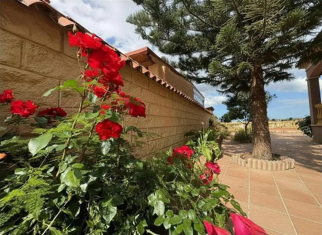 Casa amb terrassa en venda a La Granja - La Colina - Los Pastores, imagen 24