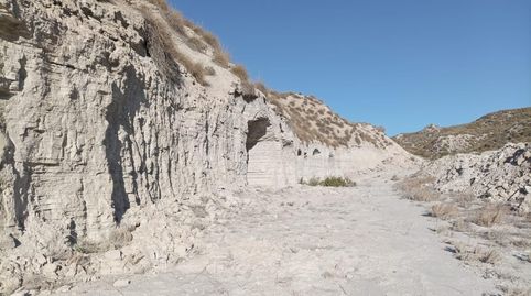 FINCA EN BAZA CON CASAS CUEVA, immagine 3