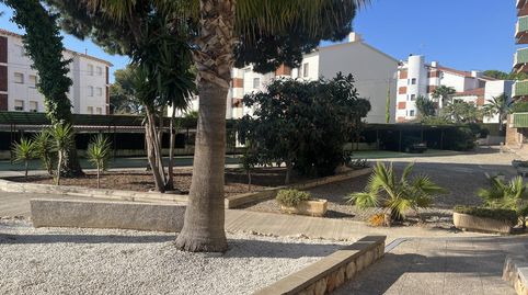 Foto 4 de Planta baja en venta en De la Figuera, Roda de Berà, Tarragona