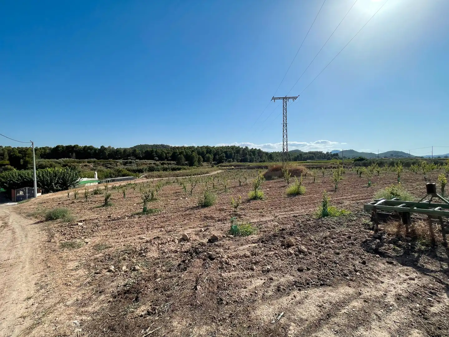 Terreno rustico in vendita a Cehegín, imagen 14