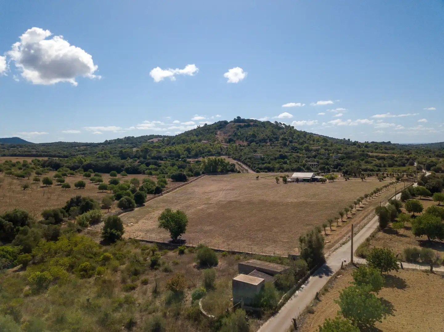 Rural land for sale in Son Vives, imagen 11