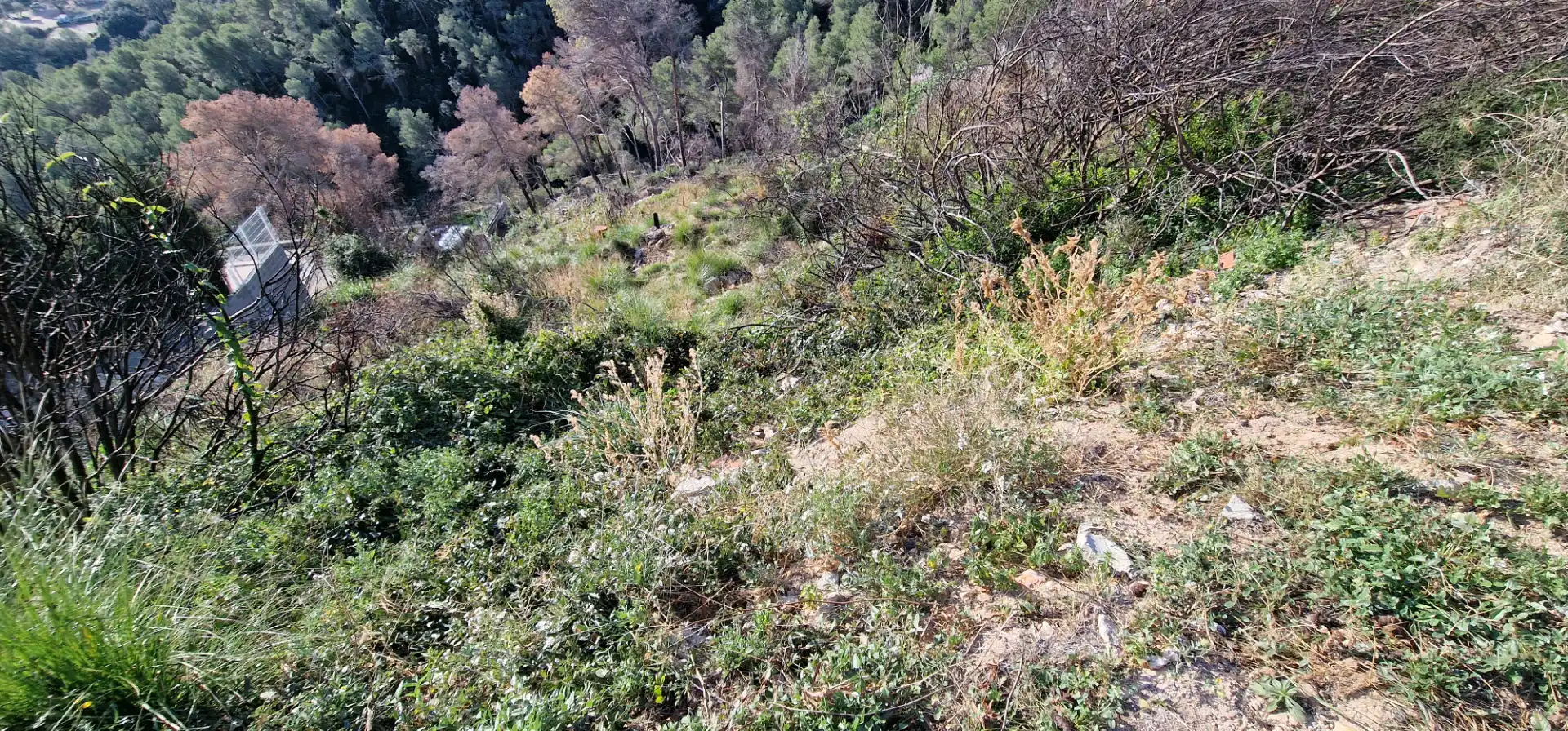 Residential land for sale in Carrer Doctor Cuatrecasas 63, imagen 7