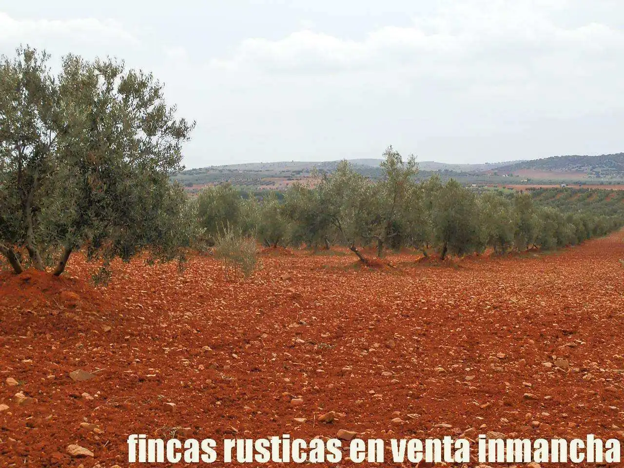 Rural land for sale in Valdepeñas, imagen 6
