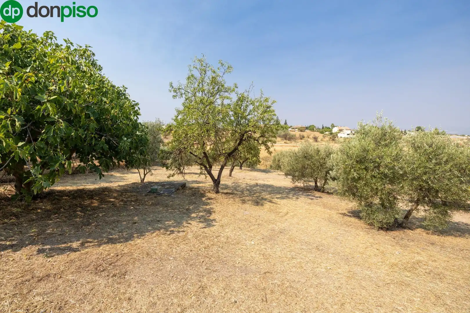 Finca rústica en venda a Calle de Moraleda a Cómpeta, Moraleda de Zafayona