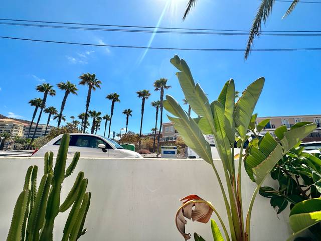 Casa adosada en Alquiler en Avenida la Arenita, 11 en Palm - Mar