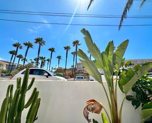 Außenansicht von Einfamilien-Reihenhaus miete in Arona mit Terrasse, Möbliert und Ofen