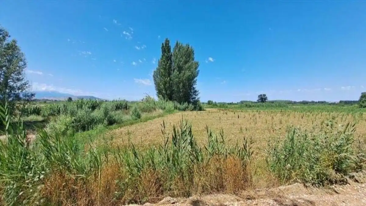 Residencial en venda en Novillas
