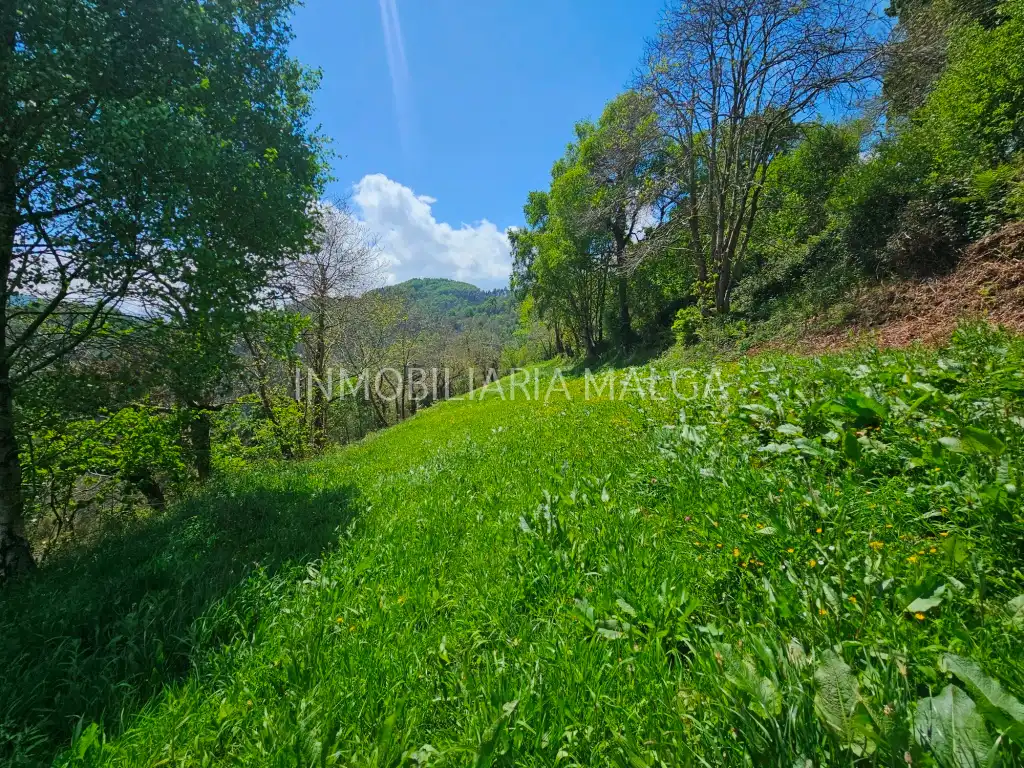 Casa o chalet en venta en Colunga con Jardín privado y Terraza