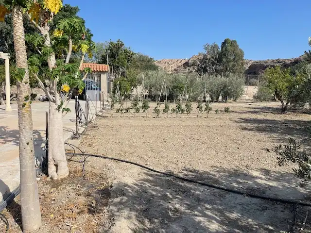 Land for sale in Pechina