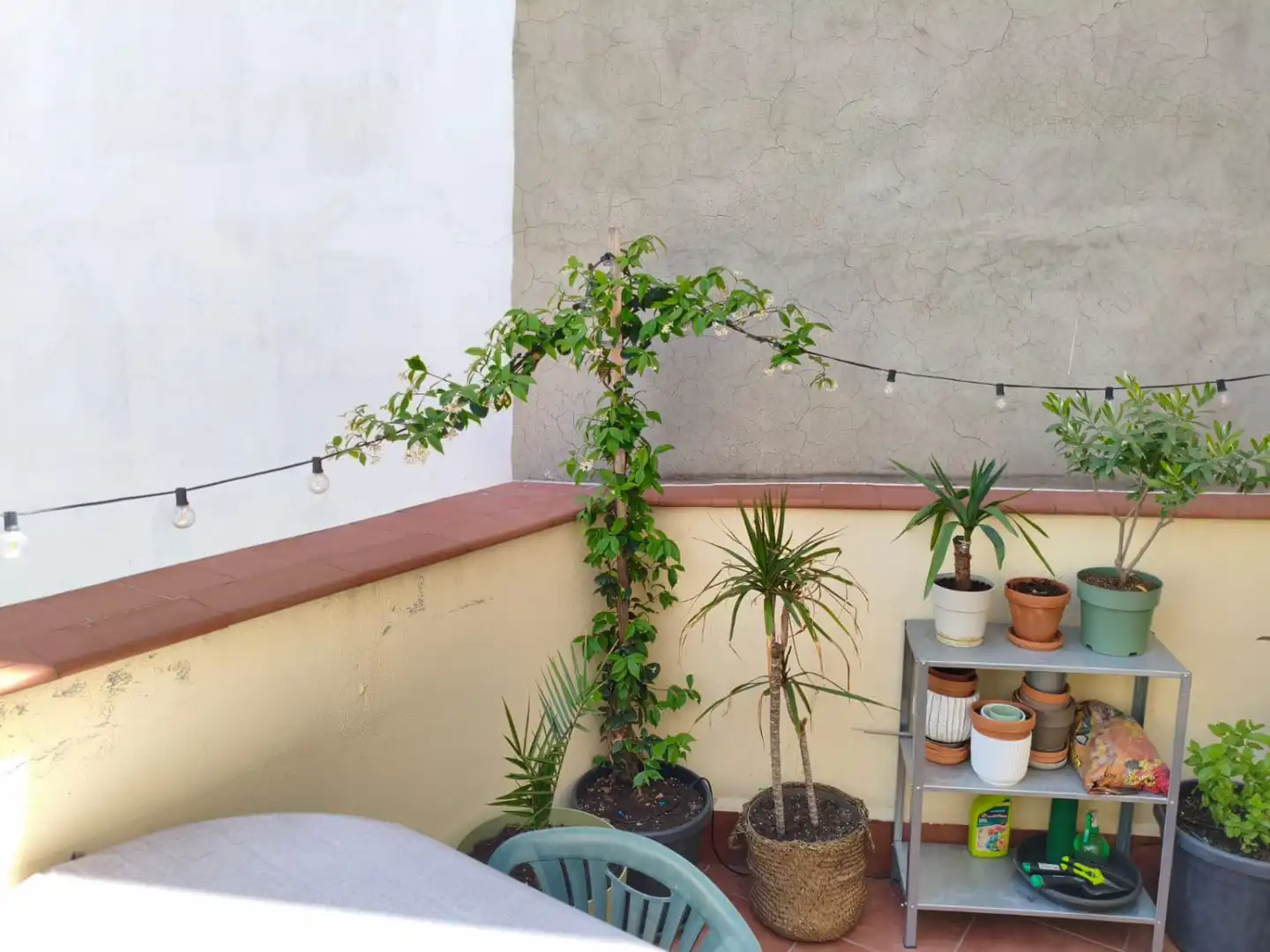 Terrasse von Wohnung zur Miete in Madrid mit Heizung, Terrasse und Möbliert