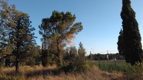 Photo 4 of Land for sale in Urbanización 19 Huertos Regao Peñaf, Peñaflor,  Zaragoza Capital