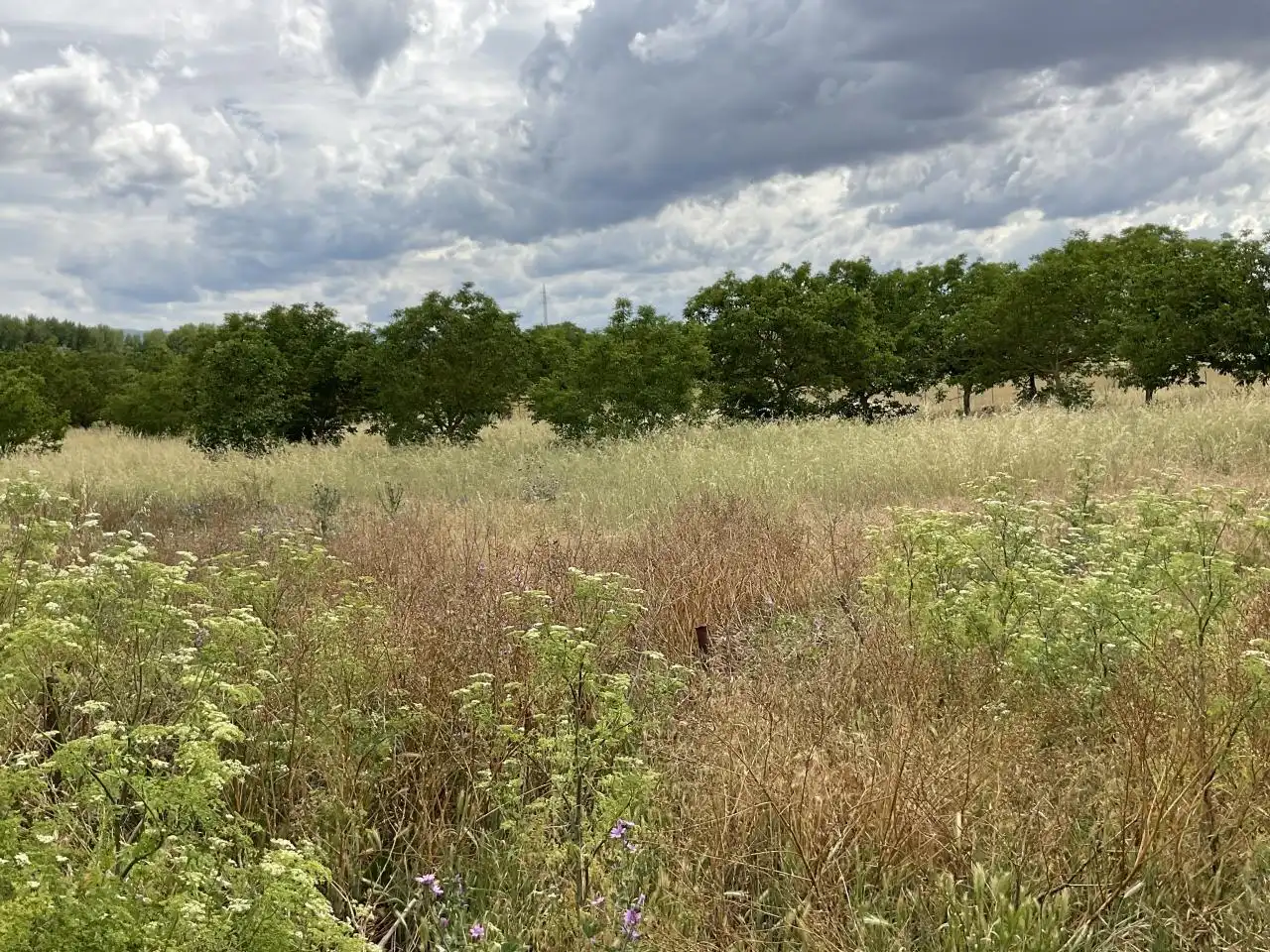 Nave industrial en venta en Villalobar de Rioja