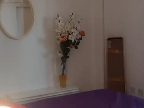 Piso con ascensor en venta en Terramar alto 5, imagen 3