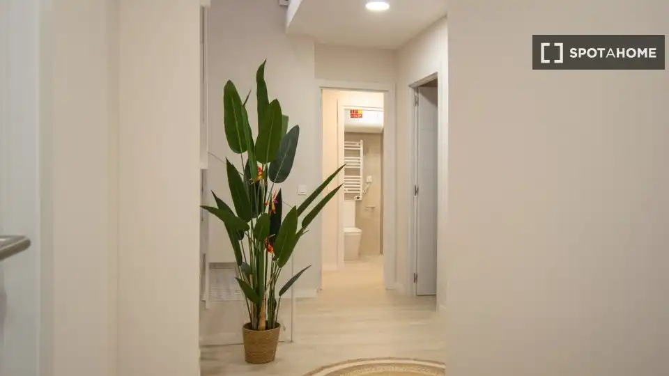 Habitació a Ciudad Universitaria