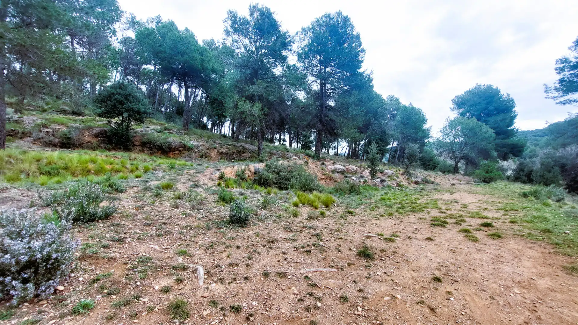 Residential land for sale in Carrer de Gallifa, imagen 2
