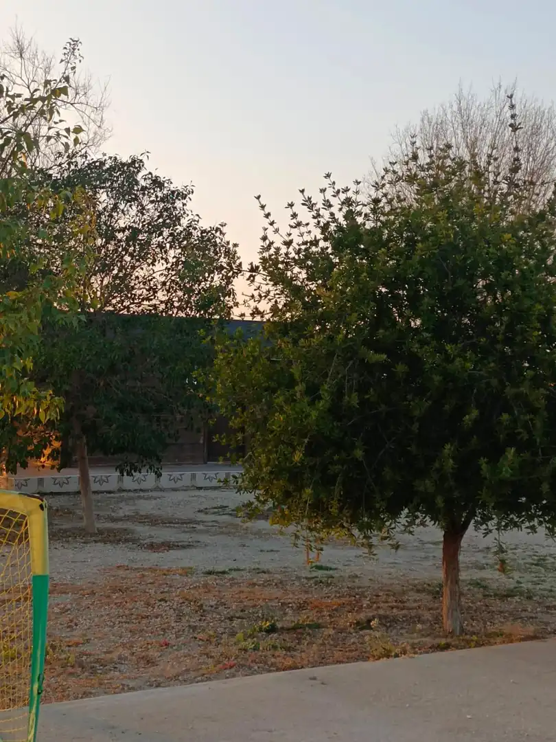 Jardí de Casa o xalet en venda en Molina de Segura amb Aire condicionat, Calefacció i Jardí privat