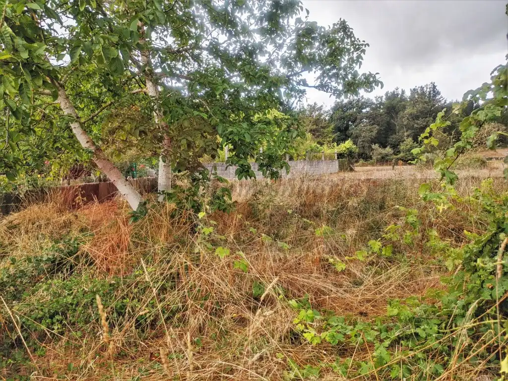 Maison à vendre à O Corgo, imagen 20