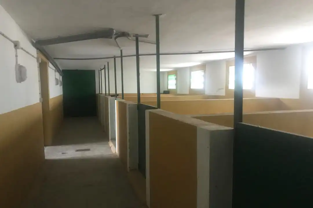 Terreni e lotti in vendita a Avda de Madrid - Pº de la Estación, imagen 9
