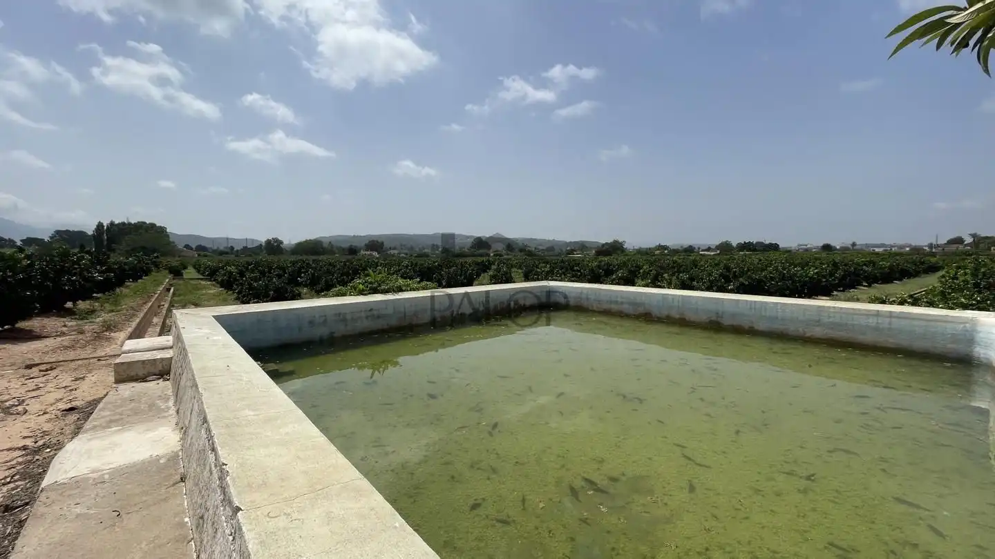 Piscina de Finca rústica en venda en Alzira