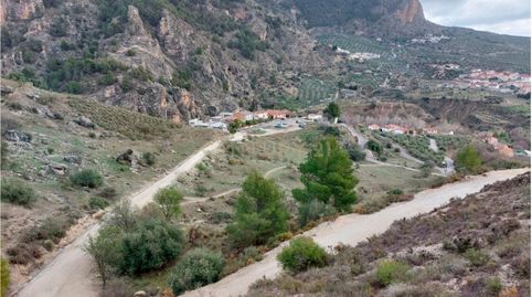 Conjunto de cinco parcelas en el pueblo de Olivares, Granada., immagine 2
