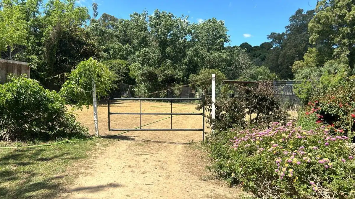Jardí de Finca rústica en venda en San Martín del Tesorillo amb Terrassa