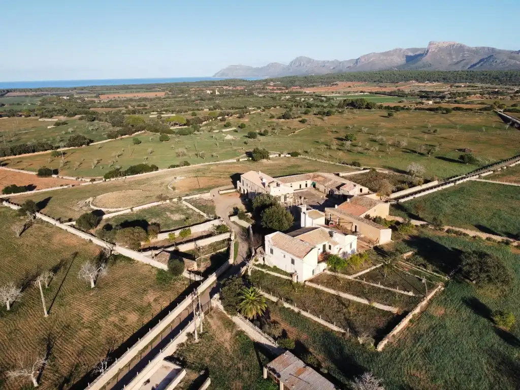 Vista exterior de Finca rústica en venta en Santa Margalida