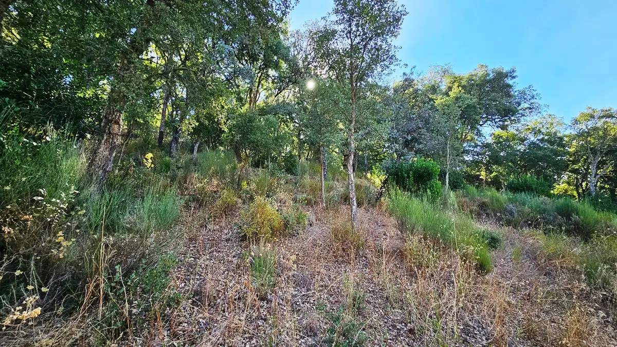 Terreno en venta en Los Marines