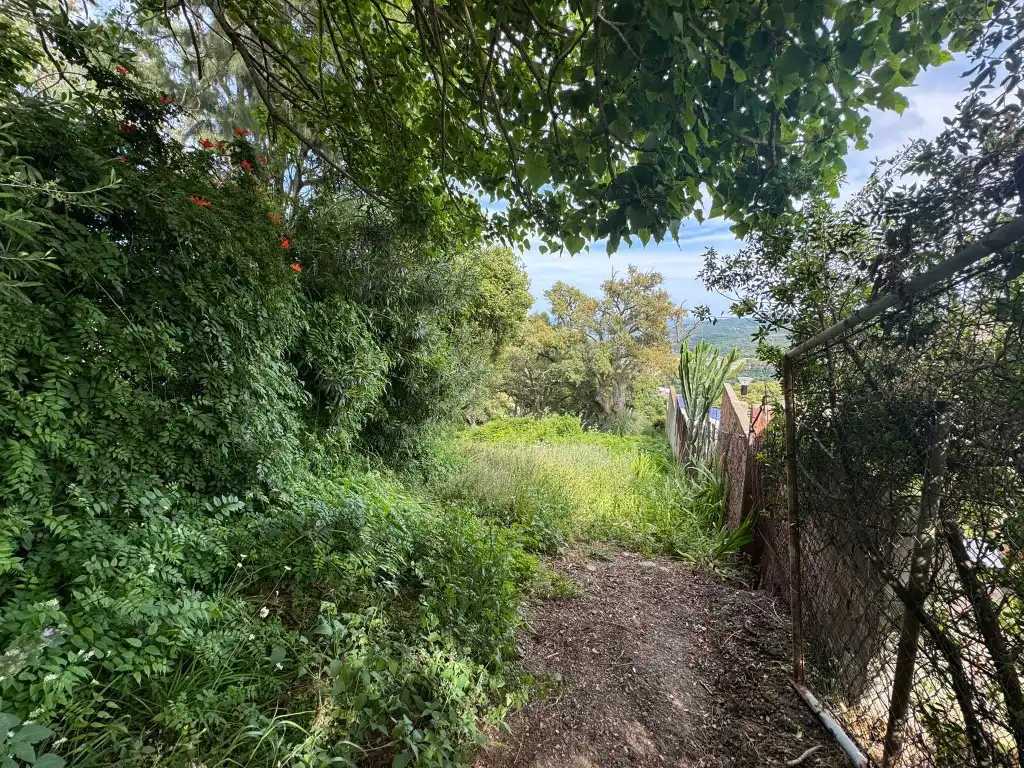 Terreno en venta en Algeciras
