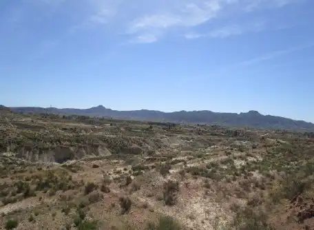 Lands and plots for sale in Ptda El Salado, imagen 8