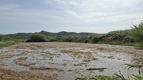 Foto 5 de Finca rústica en venda a Caspe, Zaragoza