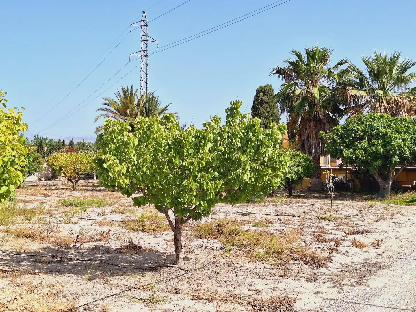 Casa o xalet en venda en Alicante / Alacant amb Jardí privat, Terrassa i Traster